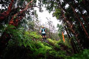 BIB: 
                            <button type="button" onclick="openModal(26202302)" class="btn btn-primary btn-sm float-right btn-popup" data-toggle="modal" data-target=".modal-high-quality">
                        <i class="fas fa-shopping-cart"></i> Add to Cart
                    </button>
                                            <button type="button" onclick="isThisMe(26202302, true)" class="btn btn-success btn-sm float-right btn-popup btn-isme hidden" data-toggle="tooltip" data-placement="bottom" title="นี่คือรูปของคุณใช่ไหม คลิกที่นี่เพื่อเอาเข้าอัลบั้ม">
                        <i class="fas fa-plus"></i> Add to album
                    </button>
                    <button type="button" onclick="isThisMe(26202302, false)" class="btn btn-warning btn-sm float-right btn-popup btn-isnotme hidden">
                        <i class="fas fa-ban"></i> Remove from album
                    </button>